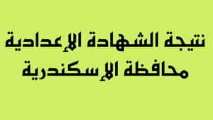نتيجة الشهادة الإعدادية محافظة الإسكندرية 2023